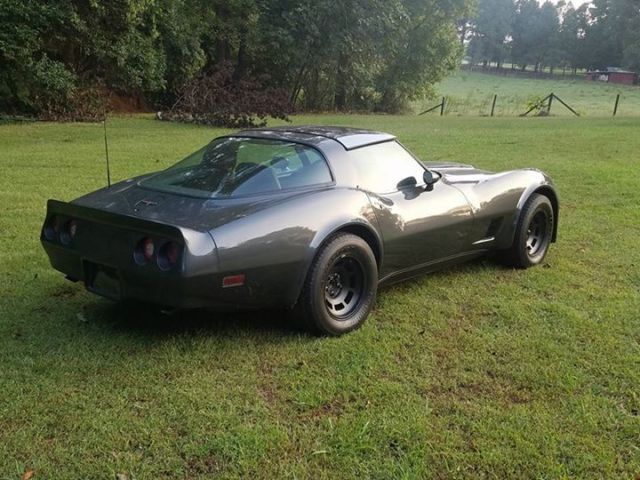 1981 Chevrolet Corvette Corvette - photo 3