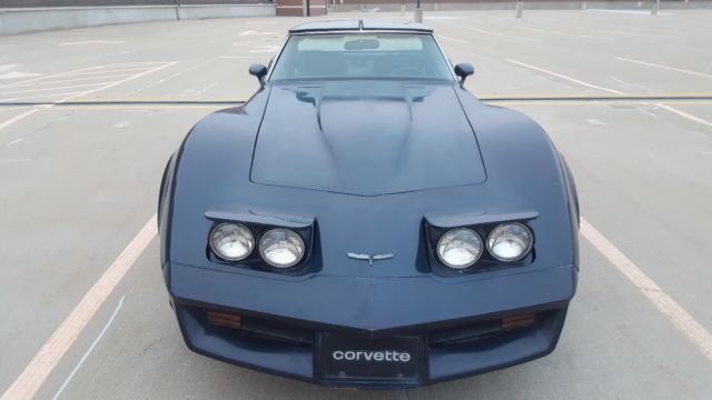 1981 Chevrolet Corvette Base Coupe 2-Door - photo 3