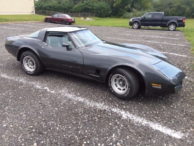 1981 Chevrolet Corvette leather - photo 3