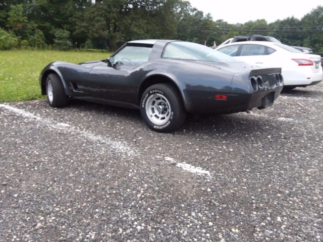 1981 Chevrolet Corvette leather - photo 5