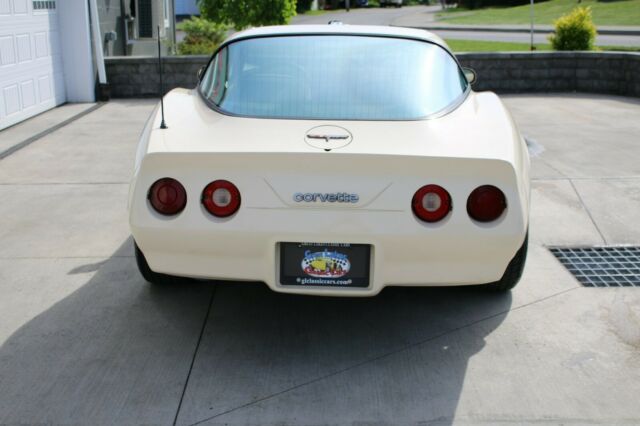 1981 Chevrolet Corvette 2-DR Coupe - photo 10