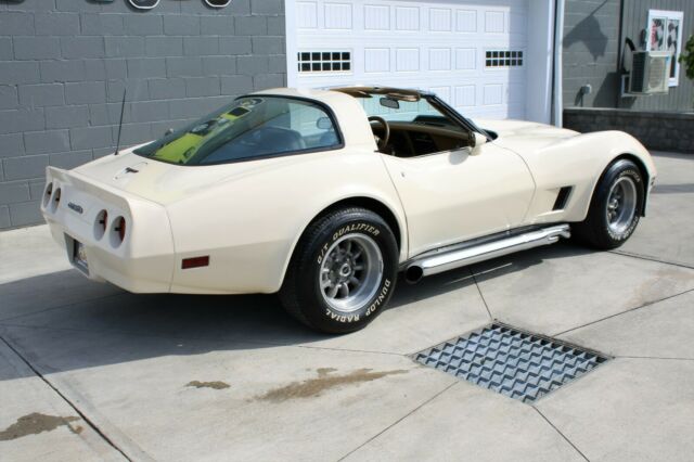 1981 Chevrolet Corvette 2-DR Coupe - photo 8