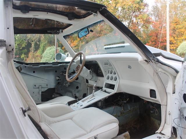 1981 Chevrolet Corvette t-top - photo 12