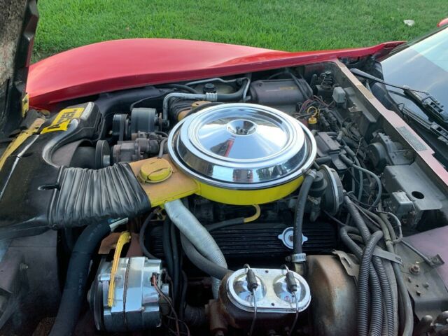 1981 Chevrolet Corvette - photo 7