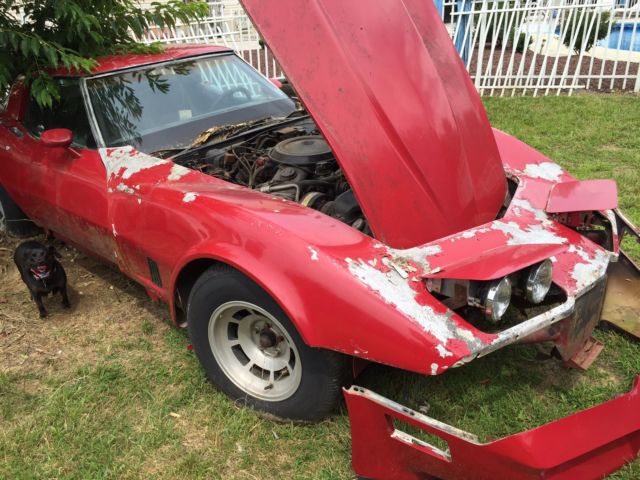 1981 Chevrolet Corvette T top - photo 5