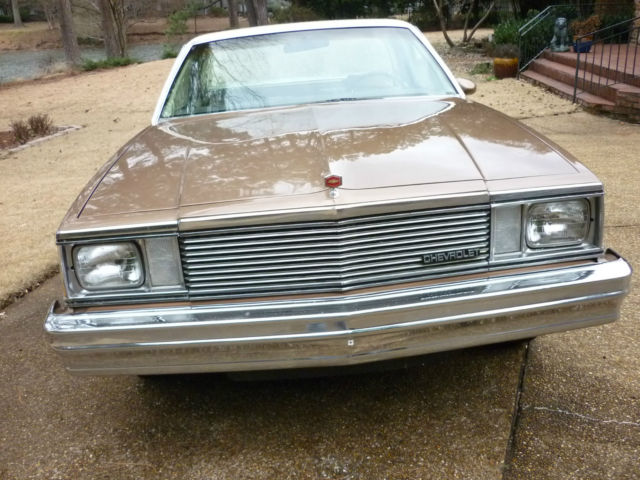 1981 Chevrolet El Camino Conquista Standard Cab Pickup 2-Door - photo 13