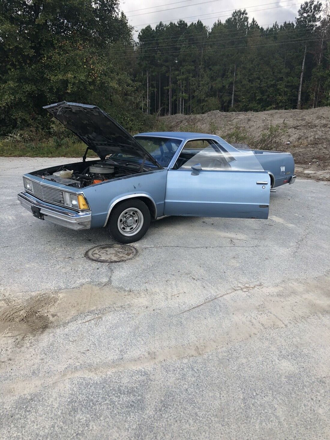 1981 Chevrolet El Camino Pickup Blue RWD Automatic Base 1981 Chevrolet El Camino Base