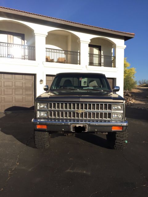 1981 Chevrolet K10 1981 Chevrolet C/K Pickup 1500