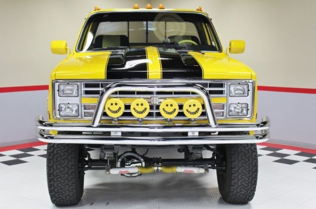 1981 Chevrolet Other Pickups 4WD Pickup - photo 5