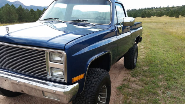 1981 Chevrolet C/K Pickup 1500 - photo 10