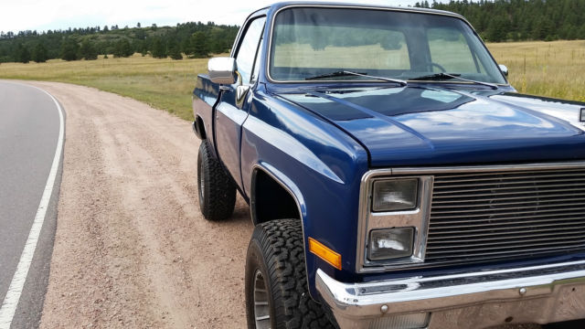 1981 Chevrolet C/K Pickup 1500 - photo 11