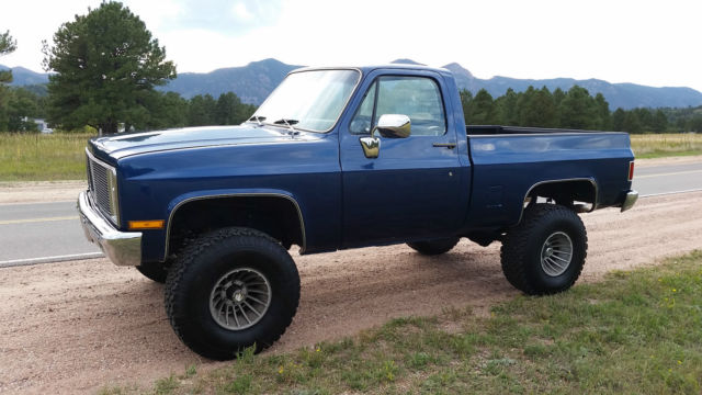 1981 Chevrolet C/K Pickup 1500 - photo 9