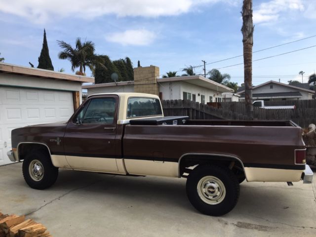 1981 Chevrolet C-10 Scottsdale - photo 5