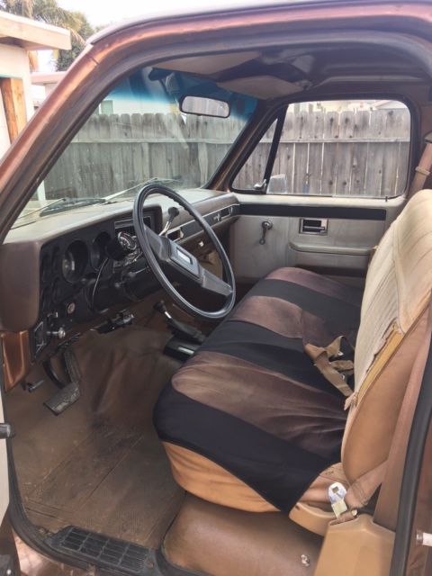 1981 Chevrolet C-10 Scottsdale - photo 7