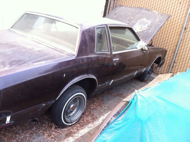1981 Chevrolet Monte Carlo - photo 6