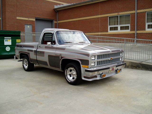 1981 Chevrolet C-10 Custom Deluxe - photo 2
