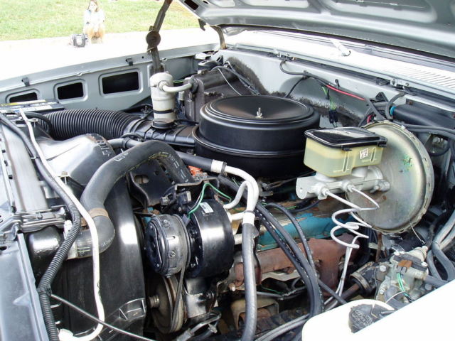 1981 Chevrolet C-10 Custom Deluxe - photo 3