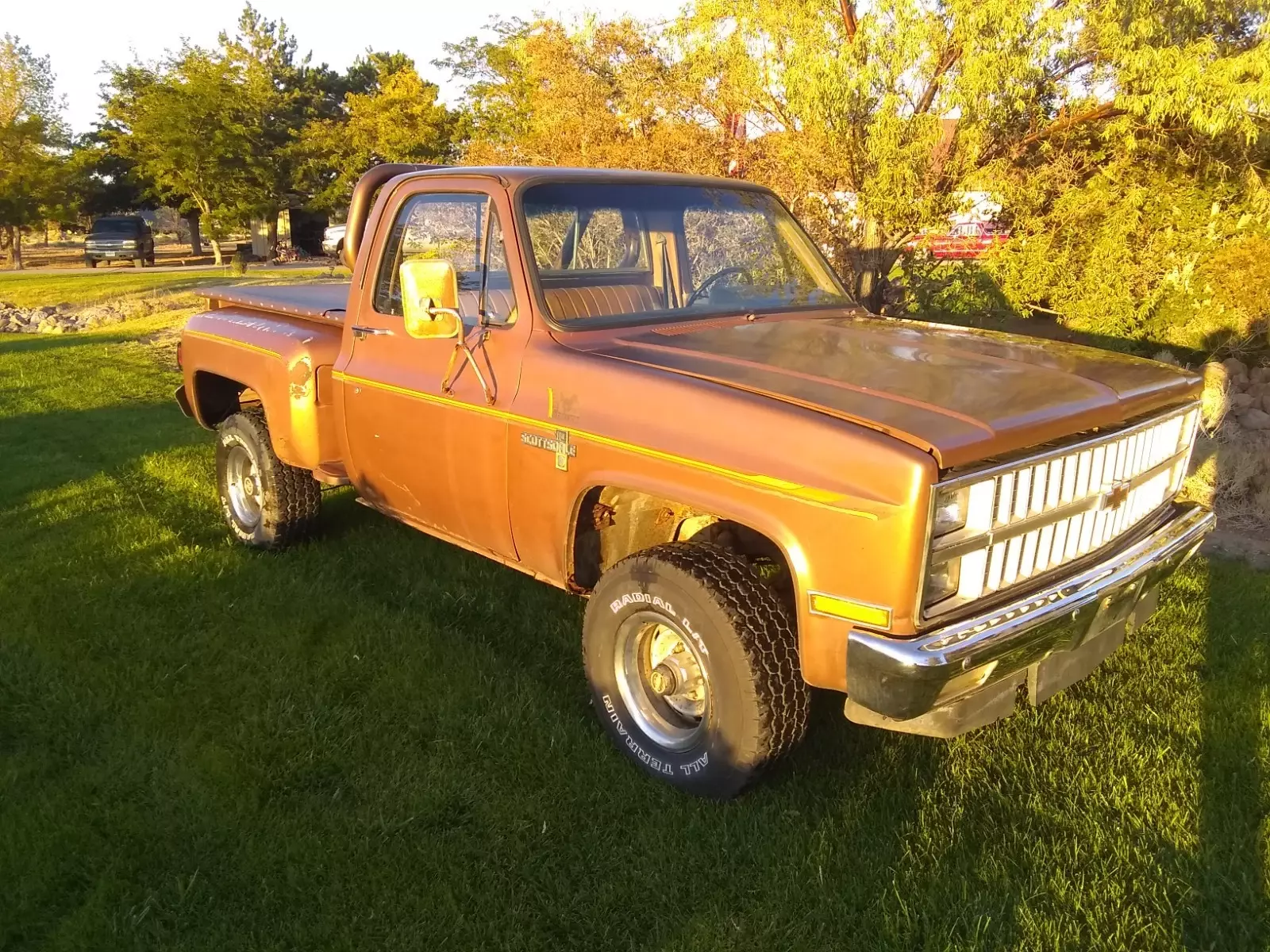 1981 Chevrolet C/K Pickup 1500