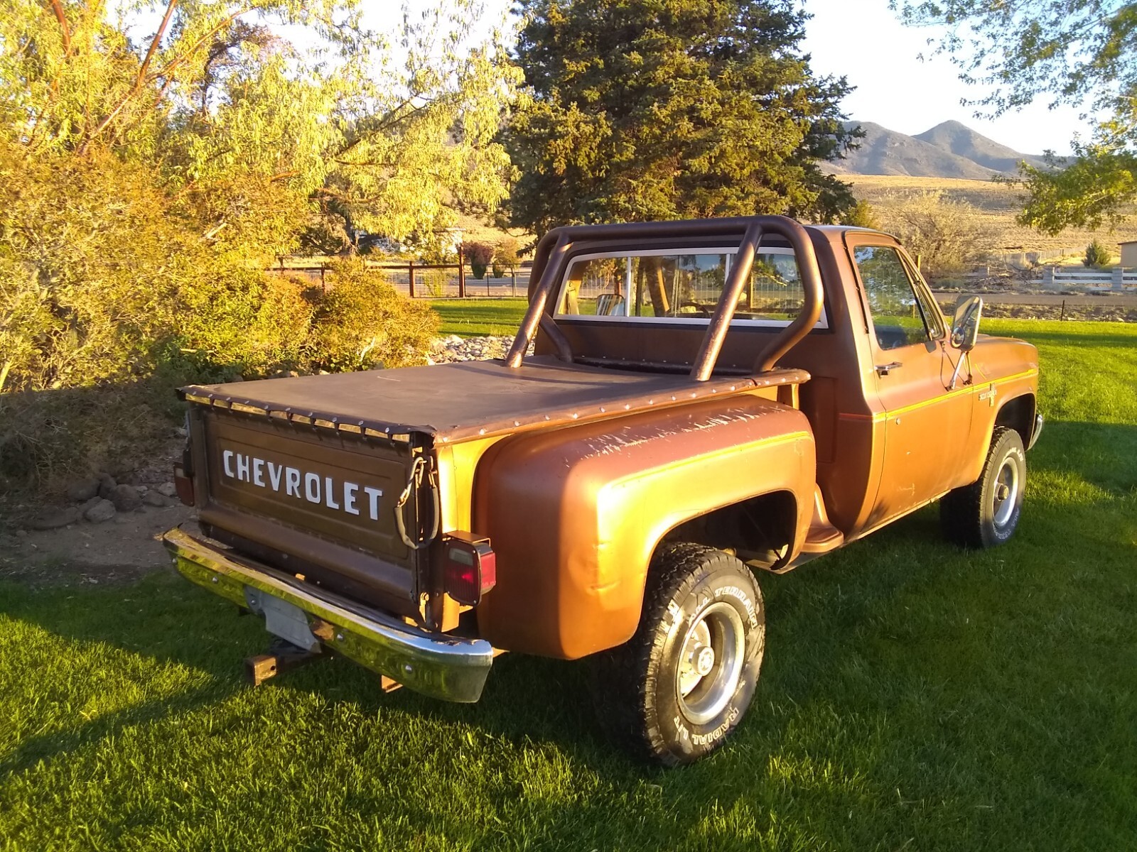 1981 Chevrolet C/K Pickup 1500 - photo 5