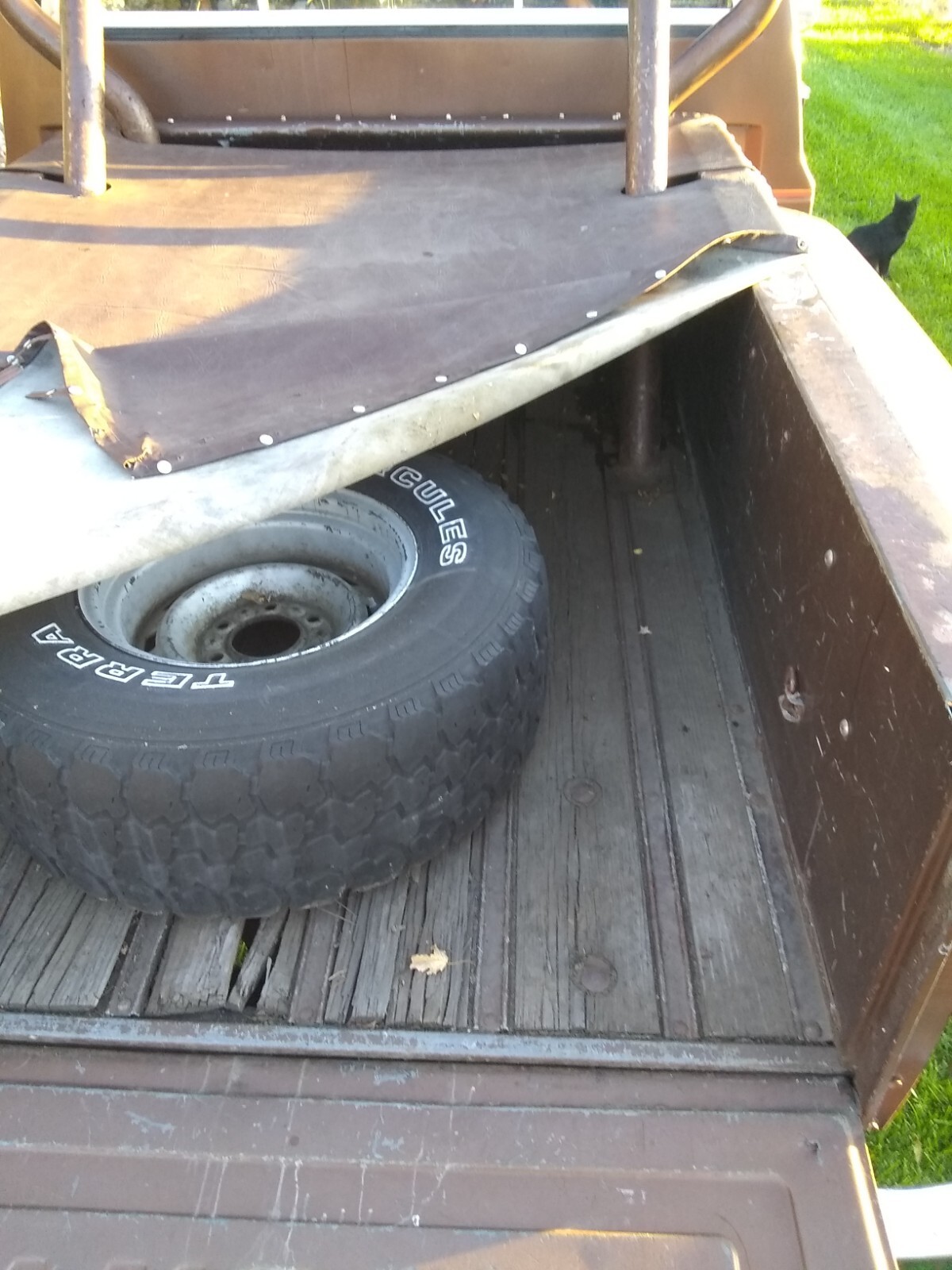 1981 Chevrolet C/K Pickup 1500 - photo 7