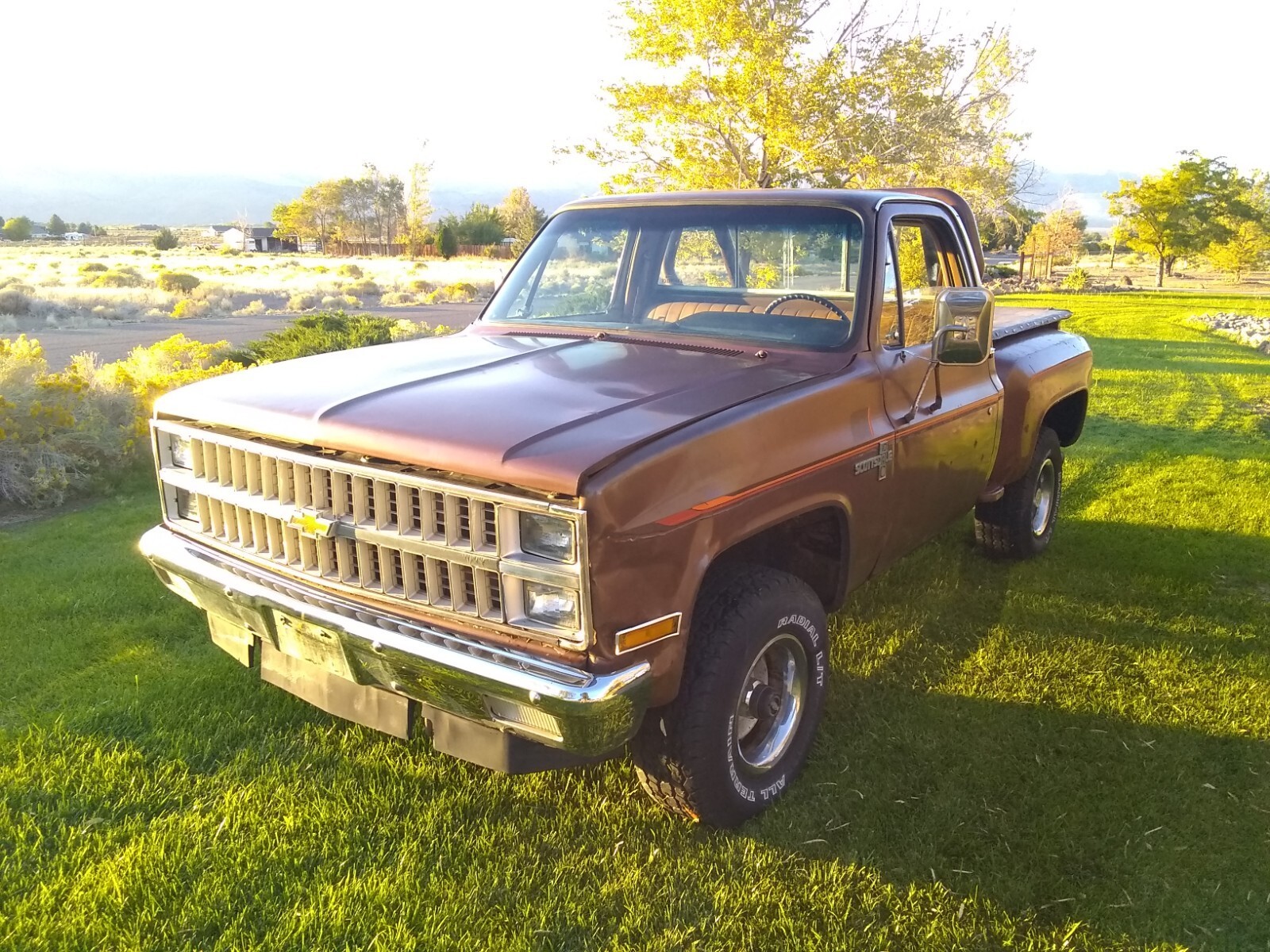 1981 Chevrolet C/K Pickup 1500 - photo 9