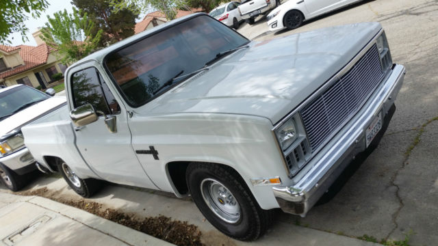 1981 Chevrolet C-10 Custom Delux C10
