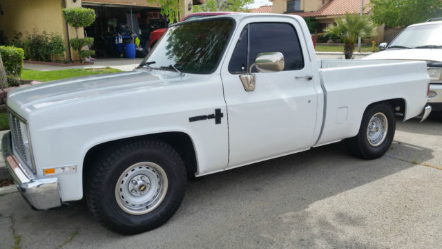 1981 Chevrolet C-10 Custom Delux C10 - photo 5