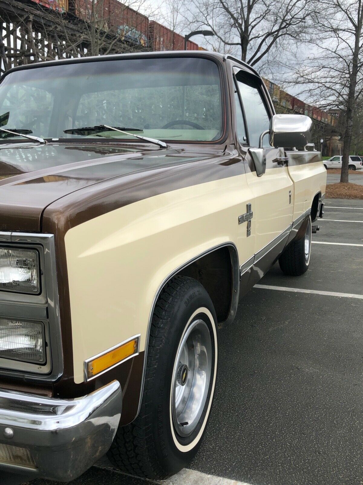 1981 Chevrolet Silverado 1500 - photo 2