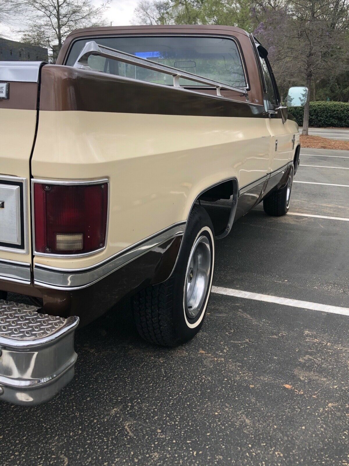 1981 Chevrolet Silverado 1500 - photo 5