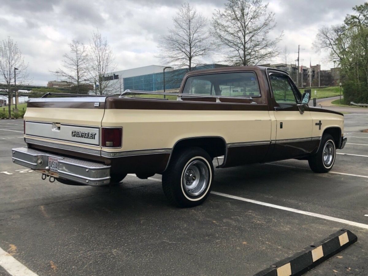 1981 Chevrolet Silverado 1500 - photo 6