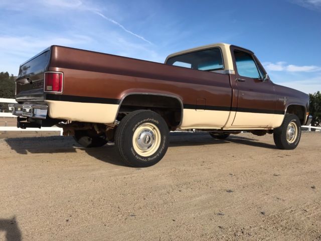 1981 Chevrolet C/K Pickup 1500 SCOTTSDALE - photo 3