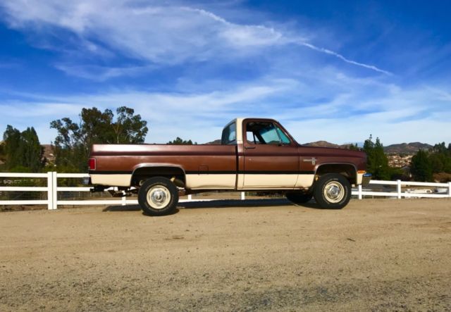 1981 Chevrolet C/K Pickup 1500 SCOTTSDALE - photo 4