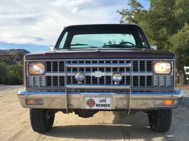 1981 Chevrolet C/K Pickup 1500 SCOTTSDALE - photo 8