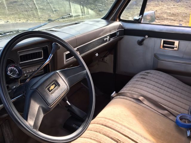 1981 Chevrolet C/K Pickup 1500 SCOTTSDALE - photo 9