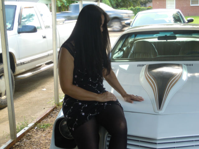 1981 Chevrolet Camaro Z-28 - photo 3