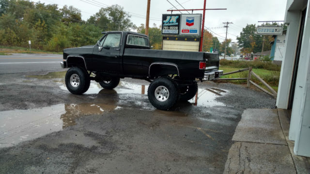 1981 Chevrolet C/K Pickup 2500 - photo 3