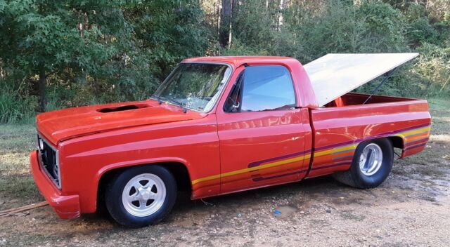 1981 Chevrolet Other Pickups C/K 1500 OTHER GMC TRUCK CHEVY - photo 6