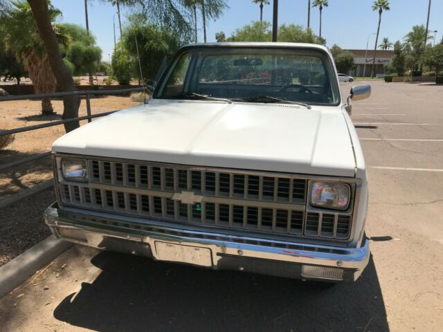 1981 Chevrolet C-10 Custom Deluxe - photo 2