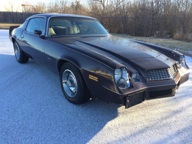 1981 Chevy Camaro berlinetta. 1981 Chevrolet Camaro