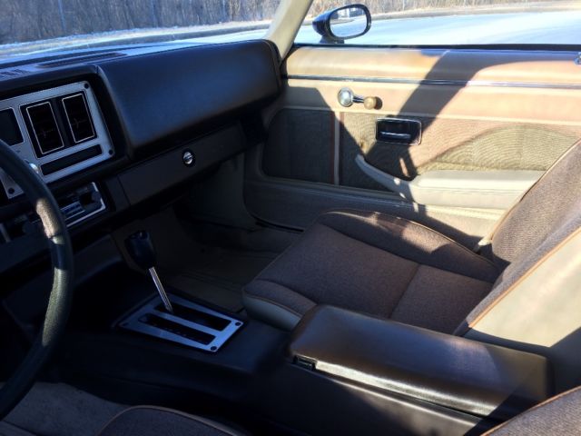 1981 Chevrolet Camaro - photo 10