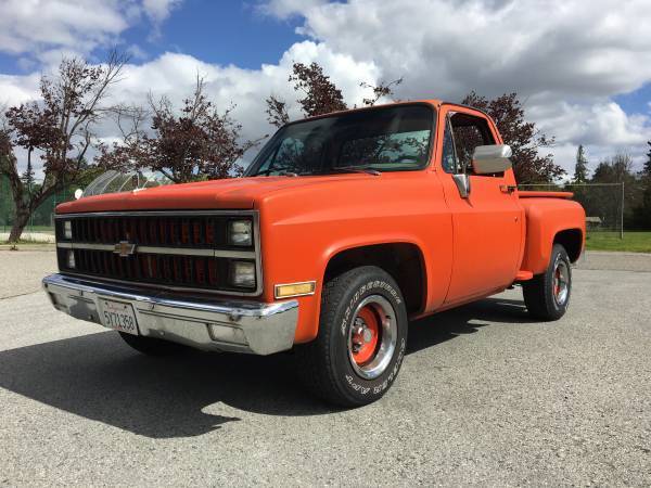 1981 Chevrolet C-10 CUSTOM DELUXE - photo 2