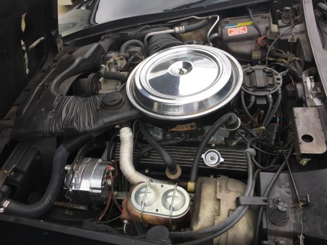 1981 Chevrolet Corvette - photo 11