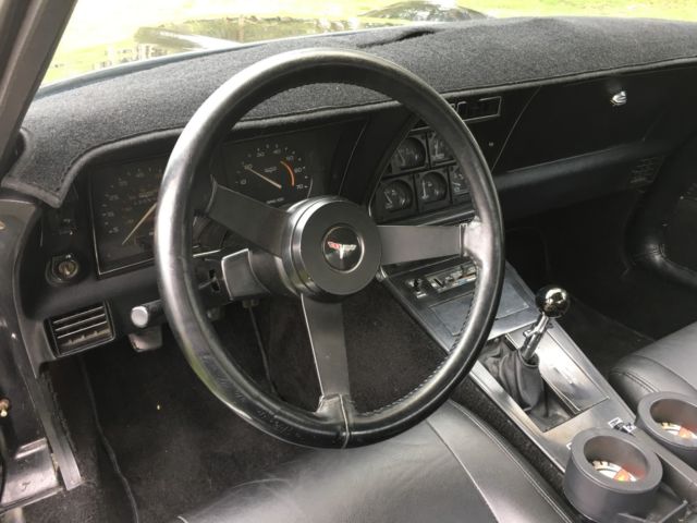 1981 Chevrolet Corvette - photo 12