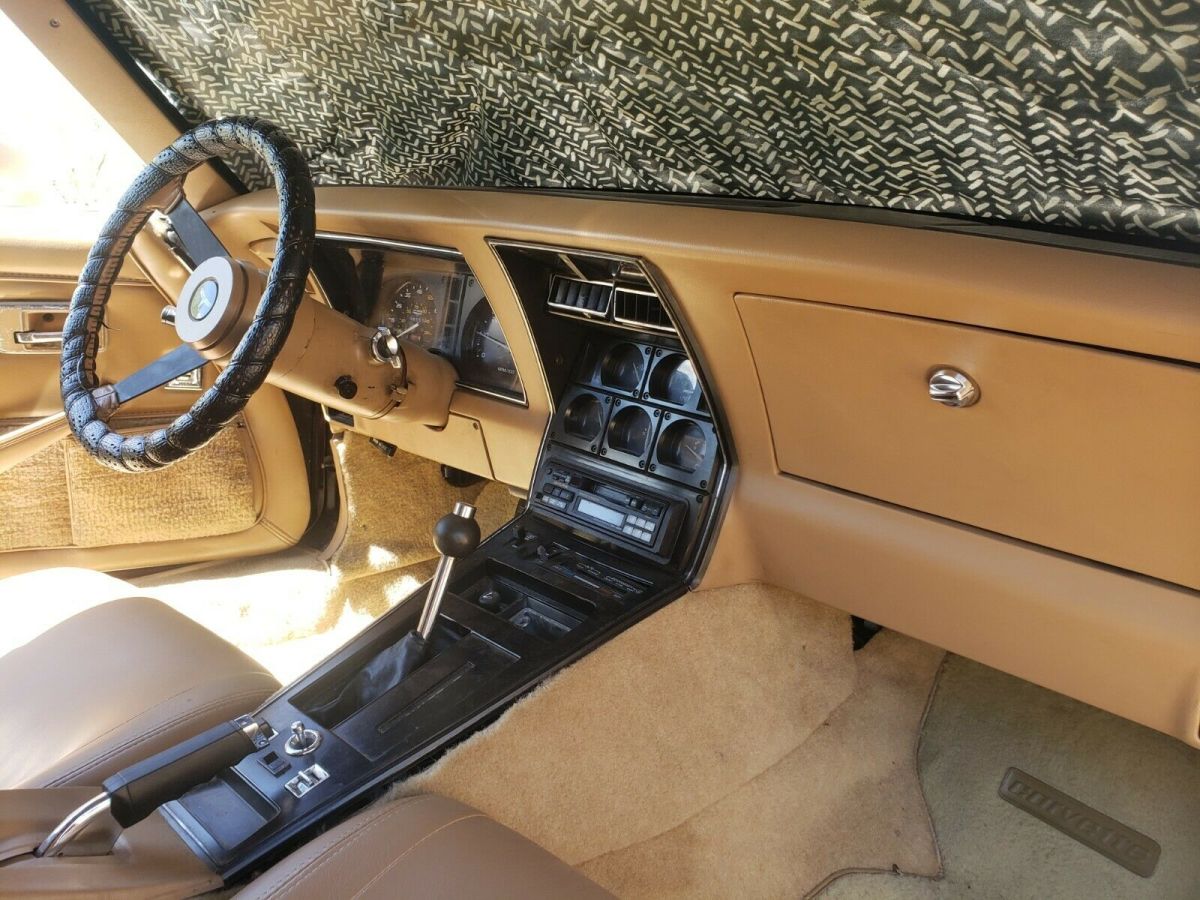 1981 Chevrolet Corvette - photo 10