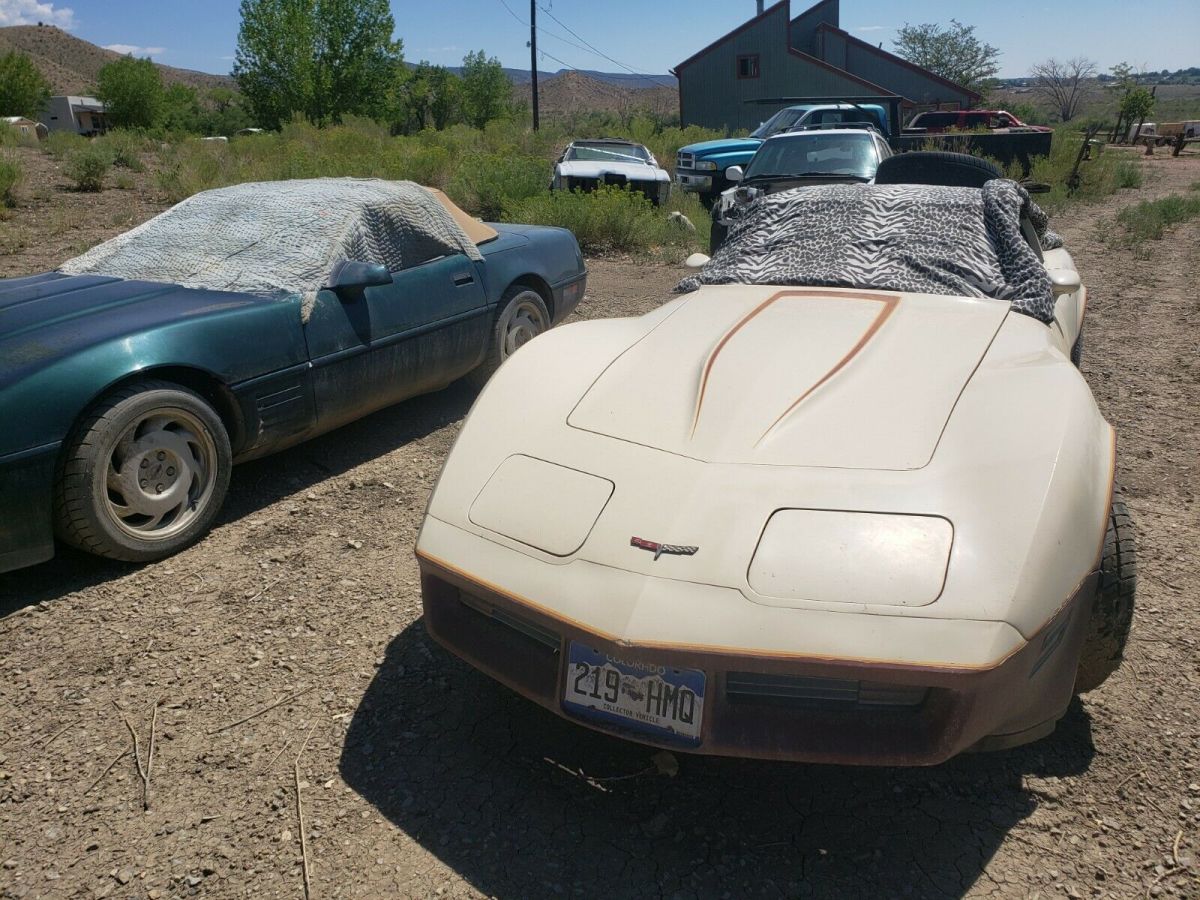 1981 Chevrolet Corvette - photo 13
