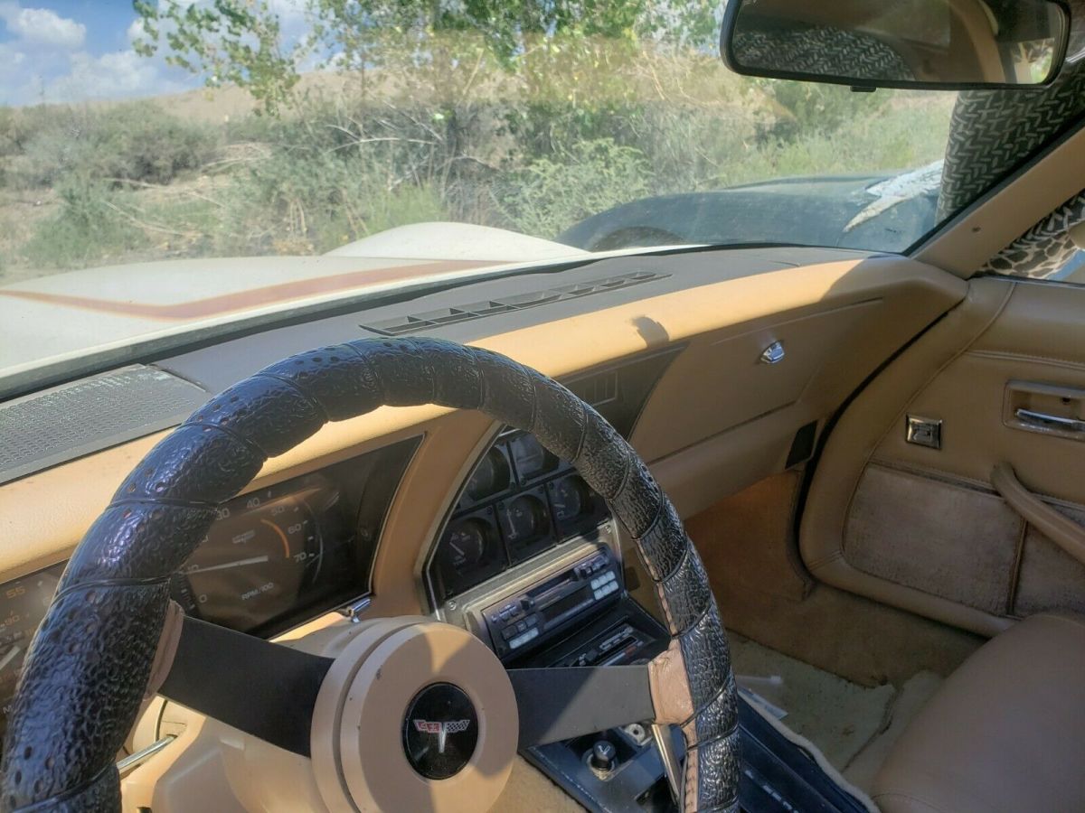 1981 Chevrolet Corvette - photo 4