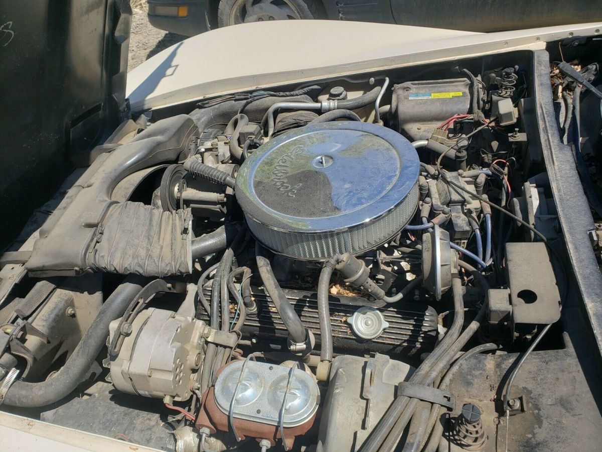 1981 Chevrolet Corvette - photo 6