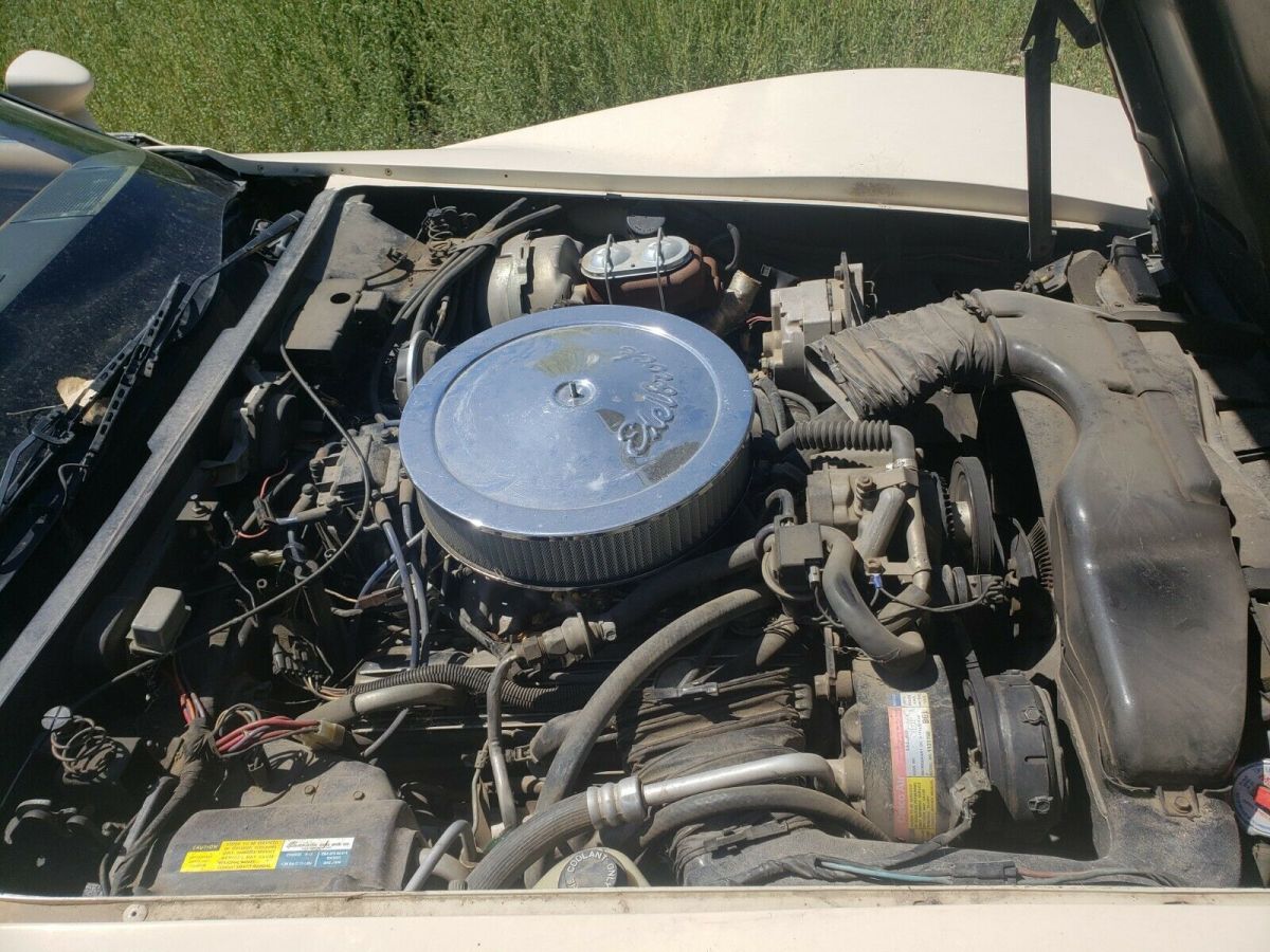 1981 Chevrolet Corvette - photo 7