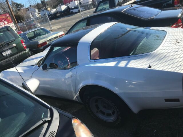1981 Chevrolet Corvette - photo 11