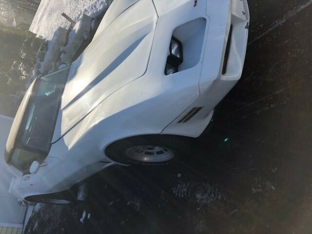 1981 Chevrolet Corvette - photo 8